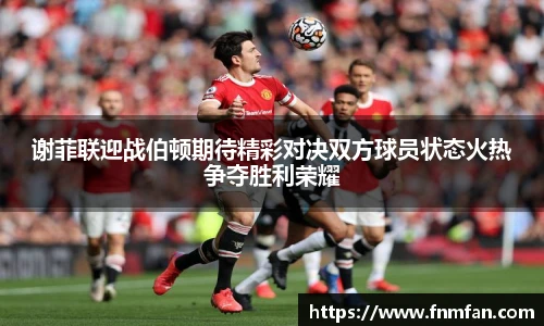 谢菲联迎战伯顿期待精彩对决双方球员状态火热争夺胜利荣耀
