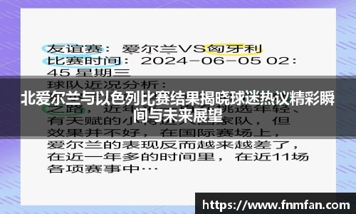 北爱尔兰与以色列比赛结果揭晓球迷热议精彩瞬间与未来展望
