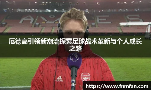 乐盈VI首页