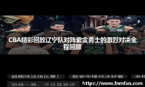 乐盈VI官网
