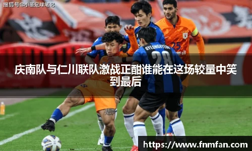 乐盈VI官网