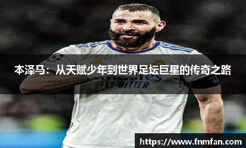 乐盈VI首页
