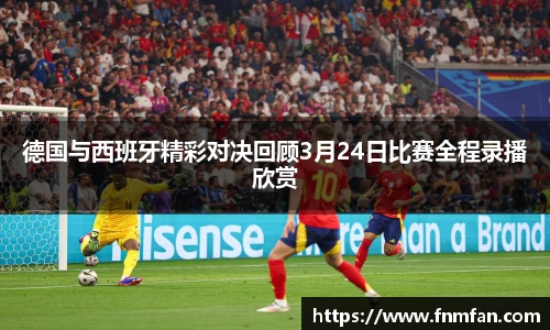 乐盈VI官网