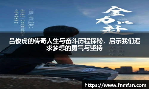 乐盈VI官网登录入口
